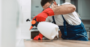 Keeping Carrollton TX Pest-Free: The Essential Guide to Pest Control Services